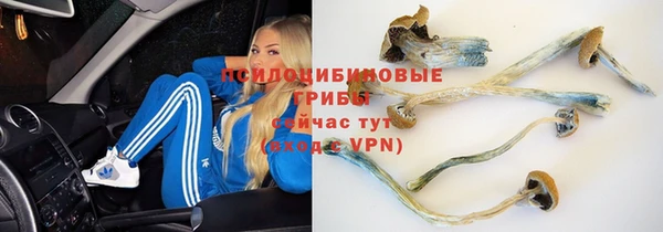 каннабис Приозерск