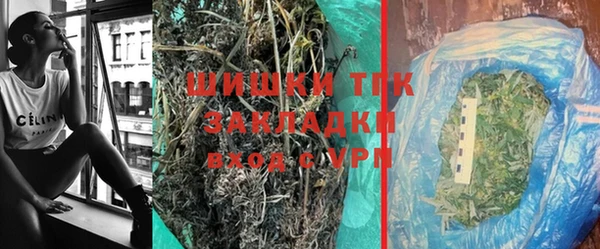 амф Протвино