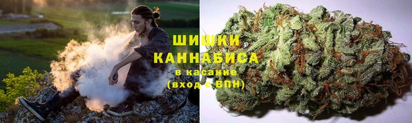 амф Протвино