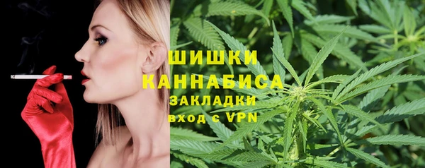 амф Протвино