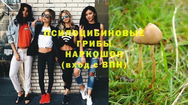 каннабис Приозерск