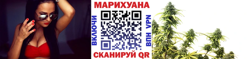дарк нет наркотические препараты  Балей  Шишки марихуана план  где купить наркотик  KRAKEN  